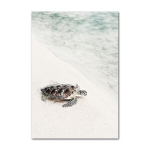 Tableau Tortue De Mer