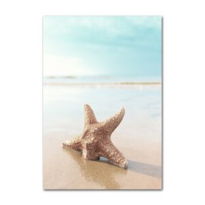 Tableau Étoile De Mer